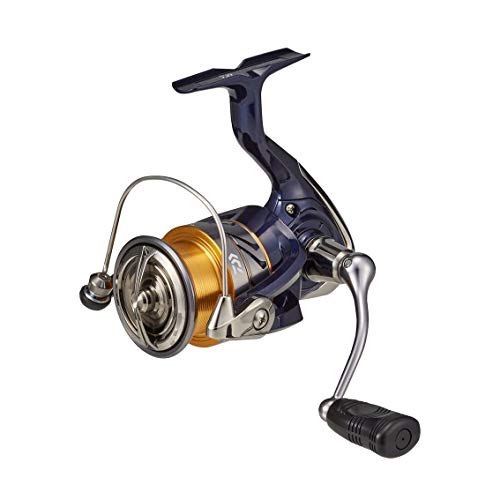 【柏倉庫:3009】ダイワ(DAIWA) スピニングリール 20 クレスト LT3000-C (2020モデル)